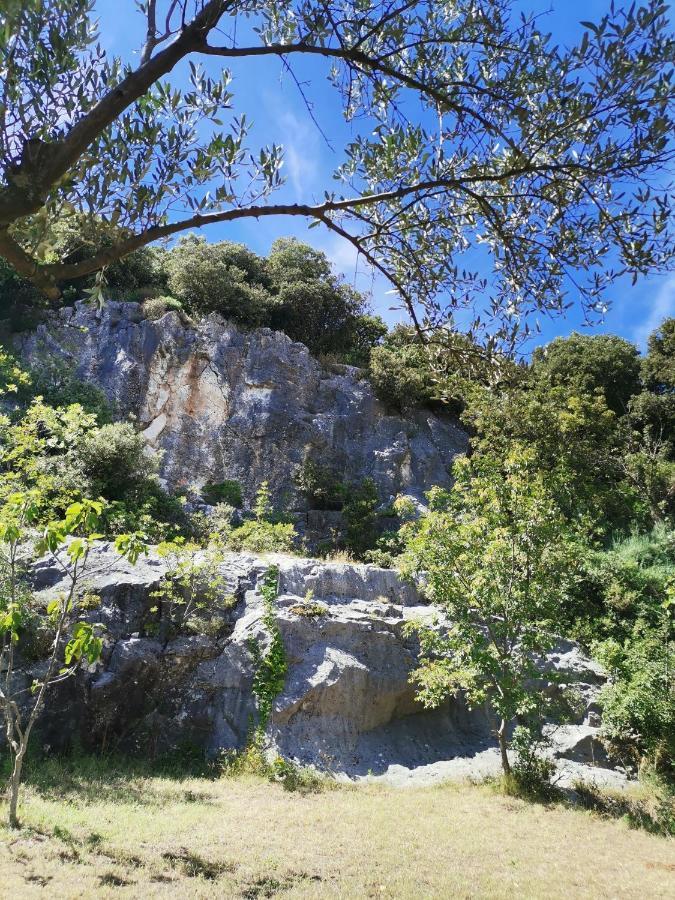 Cave With Free Parking Apartment Pula Exterior photo